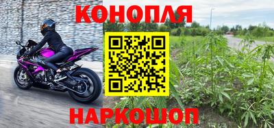 мяу мяу мука Гусиноозёрск