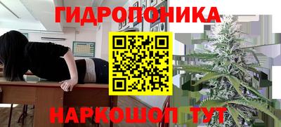сатива Гусь-Хрустальный
