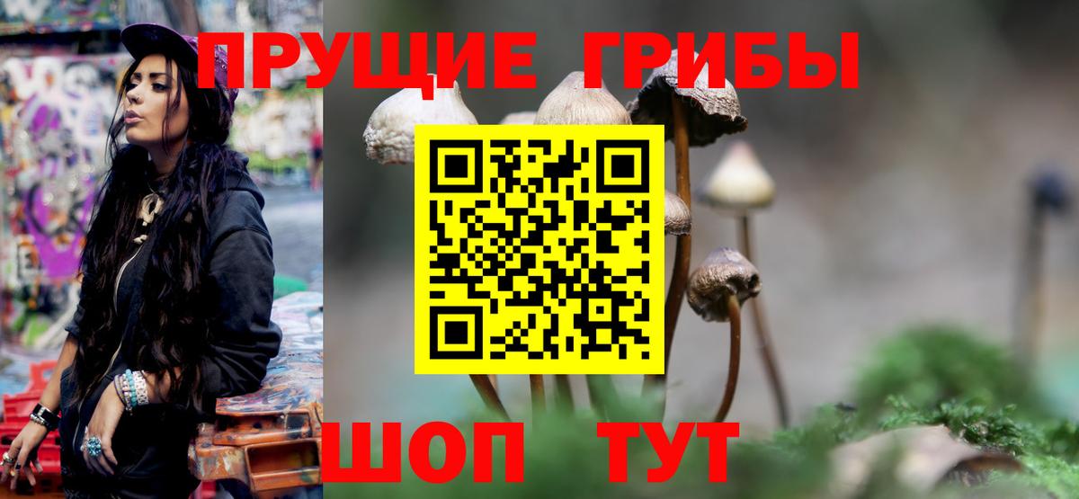 купить закладку  Вход с VPN  Псилоцибиновые грибы Psilocybine cubensis  Минеральные Воды  Псилоцибиновые грибы Psilocybe 