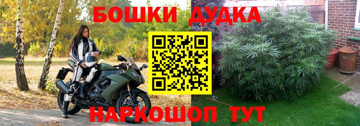 Бошки Шишки план Минеральные Воды